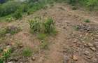 0.2 ha Commercial Land at Merisho Road - 2