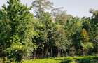 0.75 ac Land at Riara Ridge Area - 1