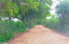 20 ac Land in Vipingo - 11