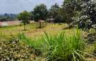Land in Loresho - 1