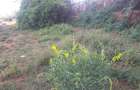 0.25 ac Land in Ongata Rongai - 8