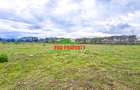 0.05 ha Residential Land in Naivasha - 5