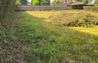 0.6 ac Residential Land in Muthaiga - 5