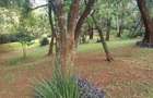 1.4 ac Residential Land at Lavington Green - 5
