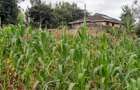 0.113 ac Residential Land in Ngong - 1