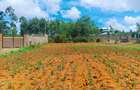 500 m² Residential Land at Nairobi Ndogo Estate - 6