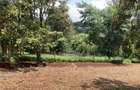 Land at Matasia - 7