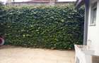 6 Bed House with En Suite in Nyari - 9