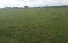 0.1 ac Residential Land in Ongata Rongai - 3