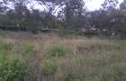 0.5 ac Land in Ongata Rongai - 13