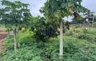 3.8 ac Land in Vipingo - 14
