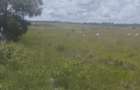 10 ac Land in Athi River - 2