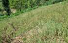 0.5 ac Land at Kinanda Close - 9