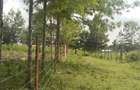 500 m² Residential Land in Ngong - 7