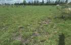 0.1 ha Residential Land in Ongata Rongai - 2