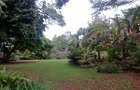 0.9 ac Land in Lavington - 3