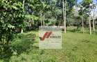 1.1 ac Land in Lavington - 1