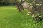 Land in Kilimani - 5