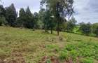 6 ac Land in Tigoni - 11