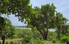 Land in Mtwapa - 3