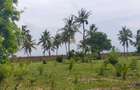 2.7 ac Land in Kikambala - 12