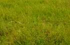 Land in Joska - 11