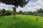 4 Bed Villa with En Suite in Ruaka - 9