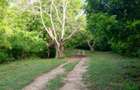 90 ac Residential Land at Kuruwitu-Vipingo - 11