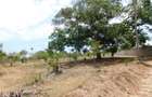 10,000 ft² Land in Vipingo - 3