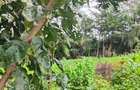 Land at Ngong - 20