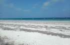 Land at Diani - 5