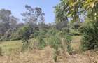 1 ac Land at Ndovu Road - 15