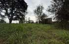 0.5 ac Land in Ruaka - 9