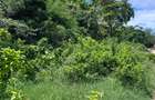 2,023 m² Land at Diani Beach - 13