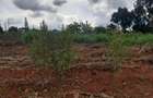 1.3 ac Land at Kiambu Road - 3