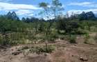 0.25 ac Residential Land at Makutano - 5