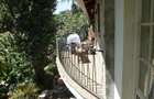 3 Bed House with Garden in Muthaiga - 8