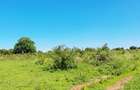 Land at Vipingo - 2