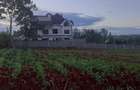 Residential Land at Ruiru Githunguri Road - 3