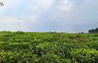 25 ac Residential Land at Riara Ridge - 4
