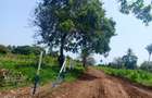 0.25 ac Residential Land at Muhaka - 1