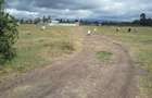 1 ac Residential Land in Ongata Rongai - 4