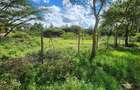 0.5 ac Land at Masai Lodge - 3
