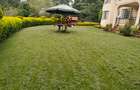 3 Bed Townhouse with En Suite in Spring Valley - 6