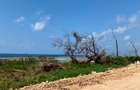Residential Land in Vipingo - 5