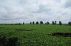 Commercial Land at Kiambu Road - 11
