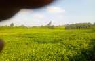 4.8 ac Land in Limuru - 6