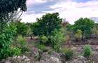 2,010 m² Residential Land at Second Row Kuruwitu Beach - 12