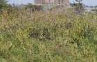 0.123 ac Land in Kiserian - 3