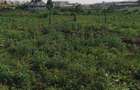 405 m² Residential Land at Sabaki - 2